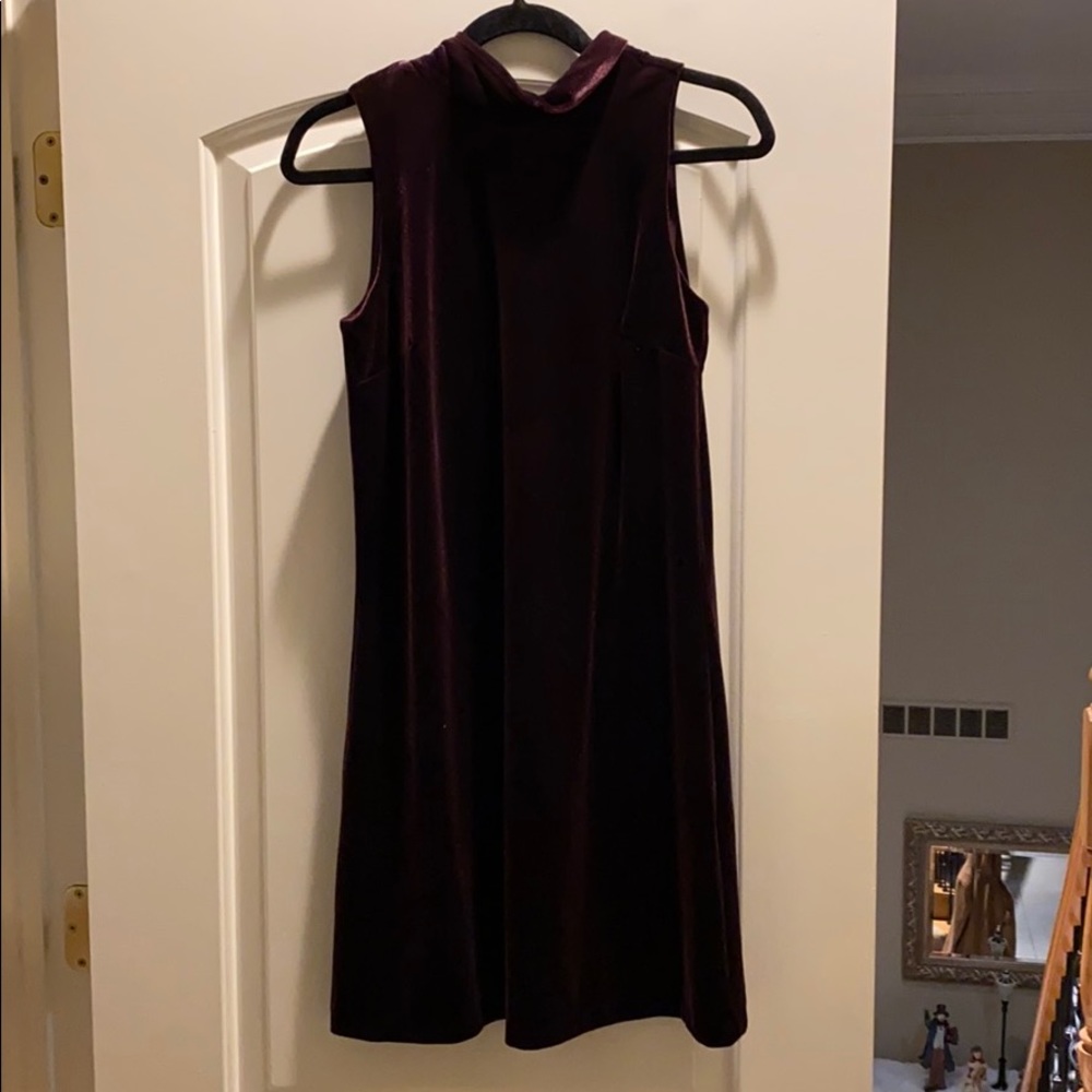 Plum Velvet Dress - Picture 9 of 12